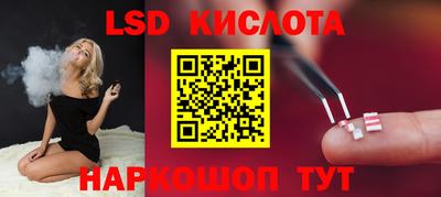 PSILOCYBIN Кинель