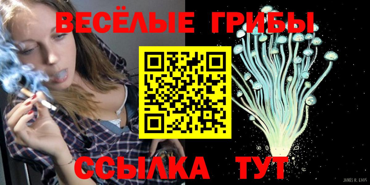 купить   Вход с VPN  Кузнецк  Галлюциногенные грибы Psilocybine cubensis 