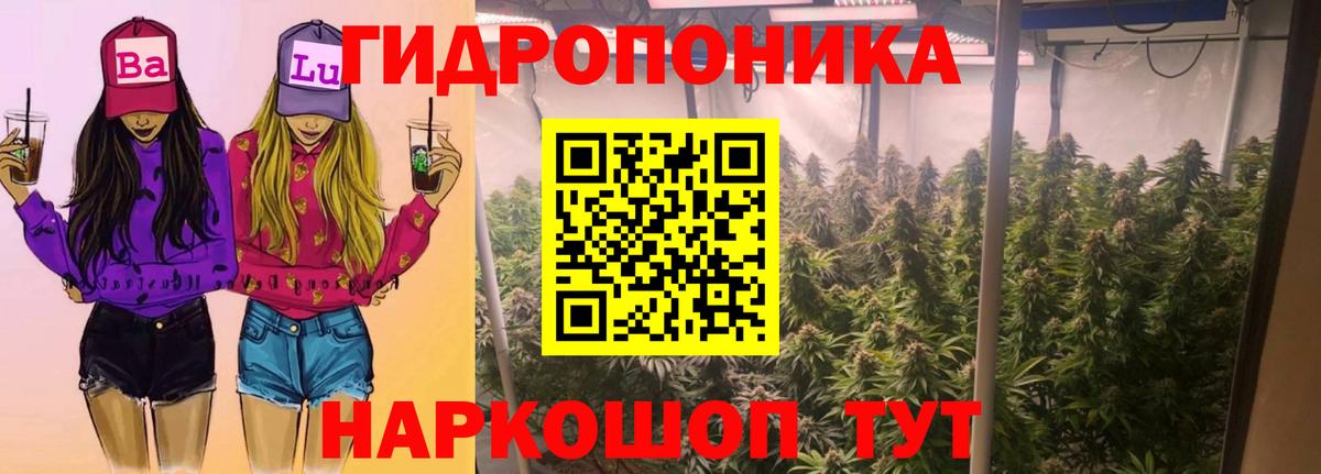 Шишки марихуана AK-47  Вход с VPN  Кузнецк  Шишки марихуана MAZAR  Конопля планчик 